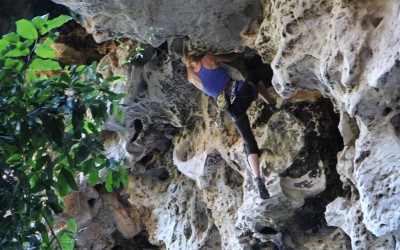 Climbing laos