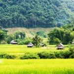 Muang La and Luang Prabang Adventure tour 4