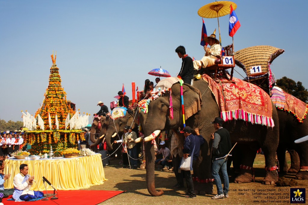 Pachyderm party (Elephant festival)