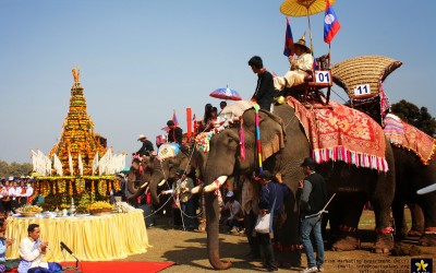 Pachyderm party (Elephant festival)