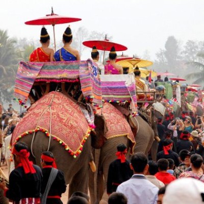 Pachyderm party (Elephant festival)