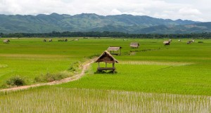 Luang Namtha
