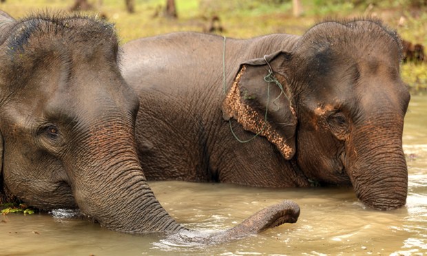 Lovely Luang Prabang scooped 'Best City' in the Wanderlust Travel Awards 2015 